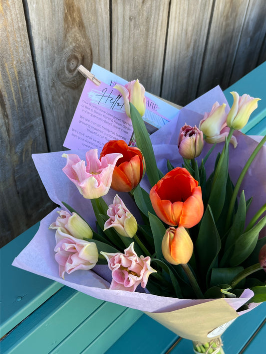Fresh Kapiti-Grown Tulips