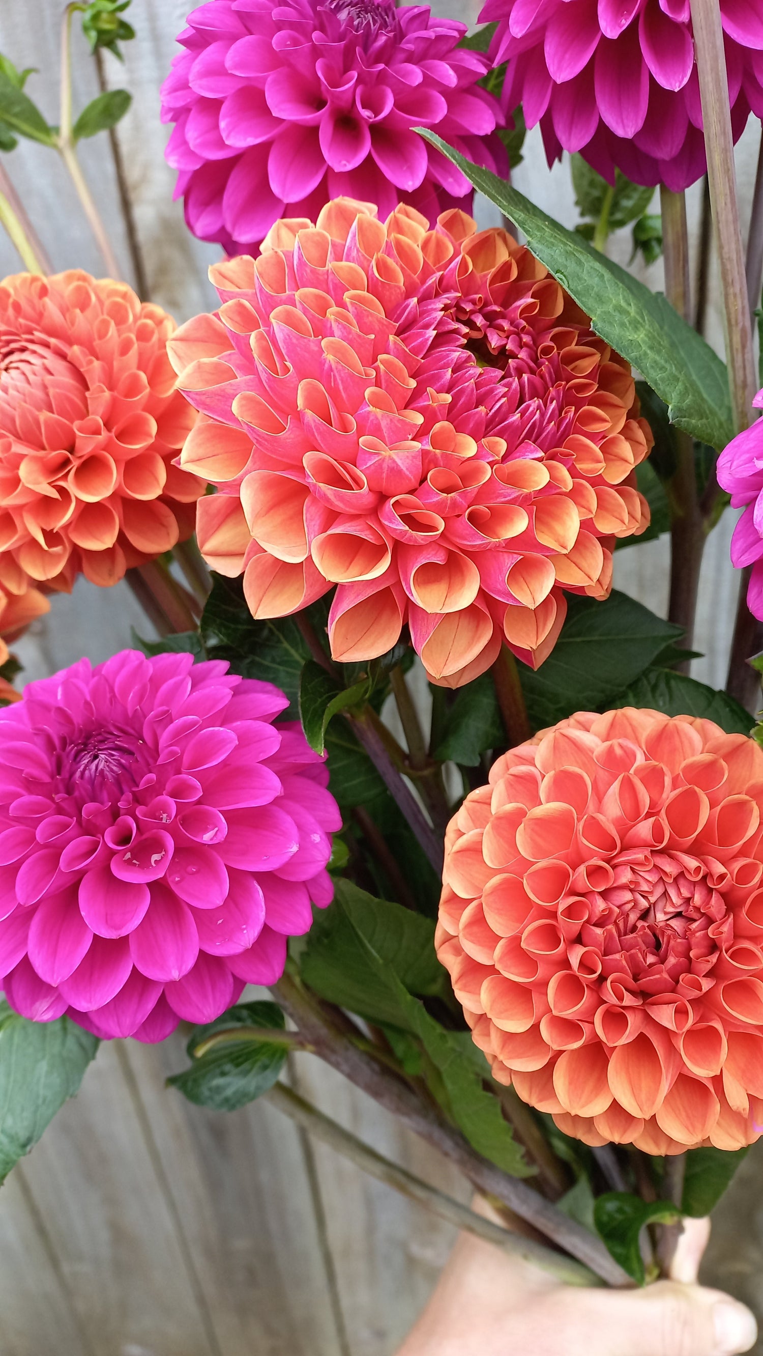 Beautiful Things