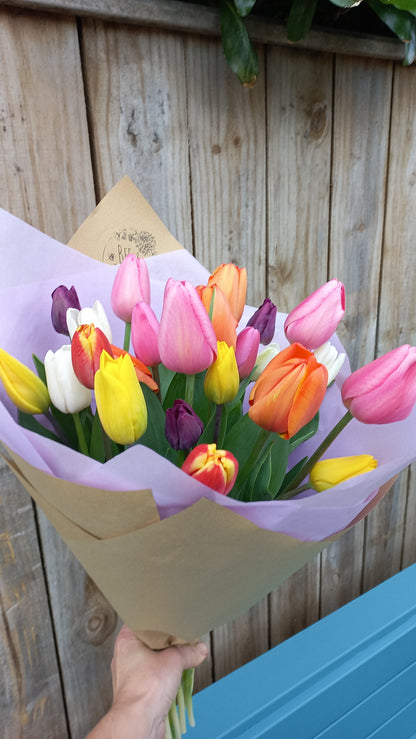 Fresh Kapiti-Grown Tulips