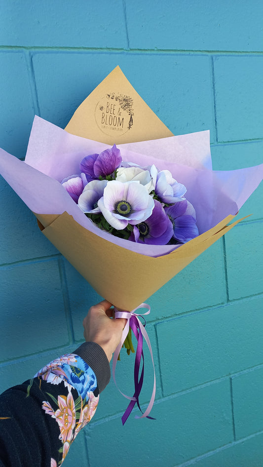 Beautiful Anemones