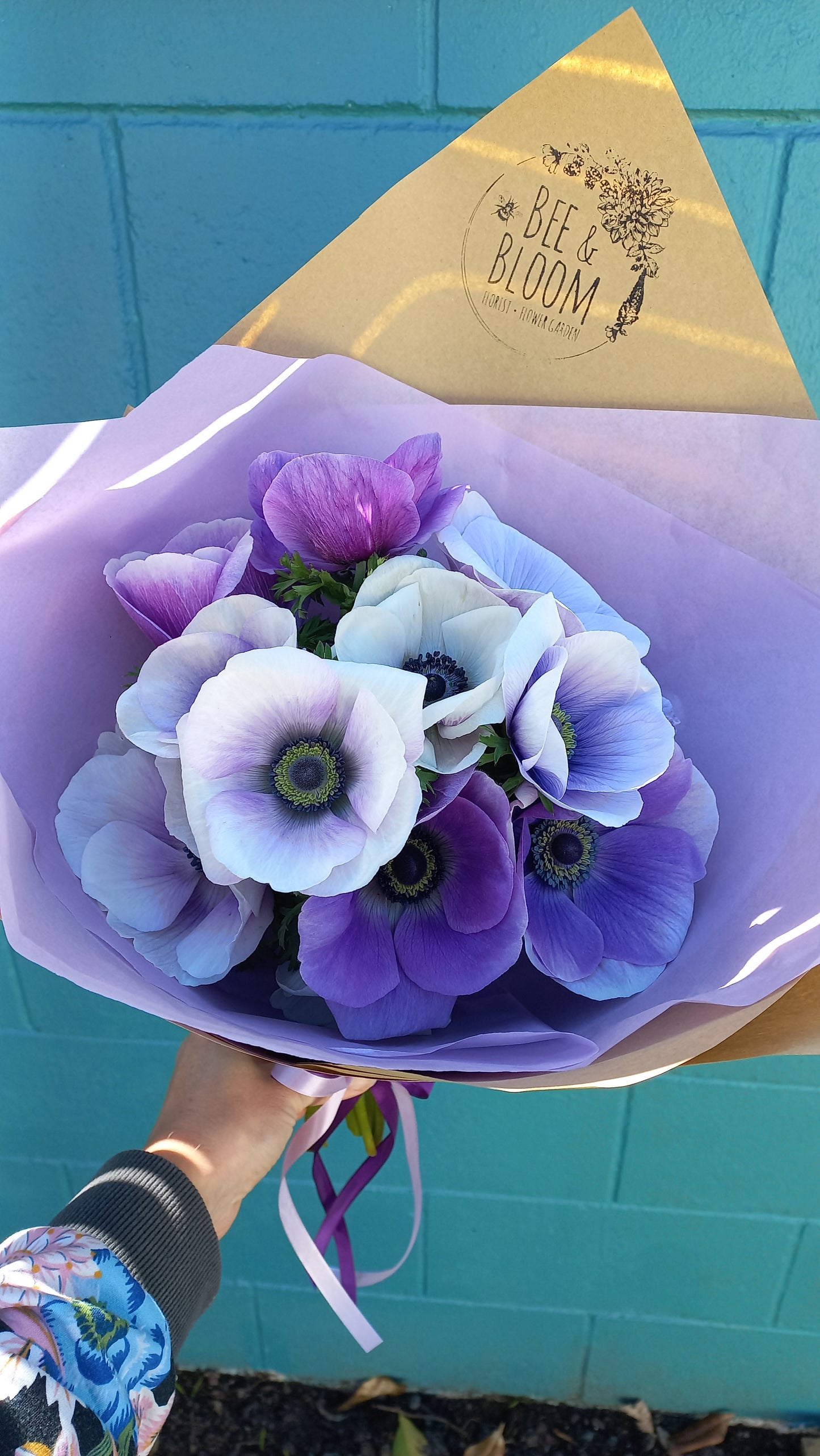 Beautiful Anemones