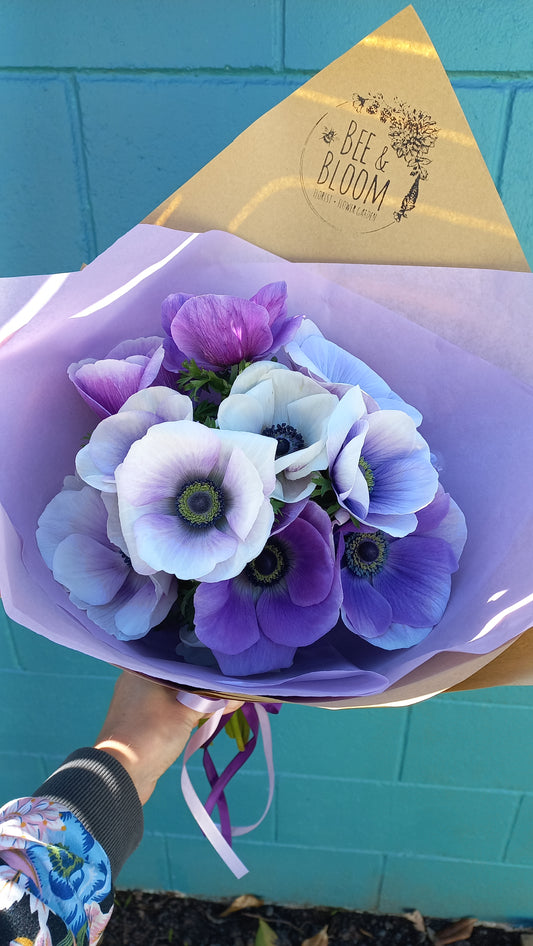 Beautiful Anemones