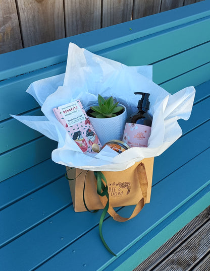 Plant Lover Gift Hamper