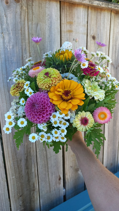 Pick-Your-Own-Flowers Private Experience