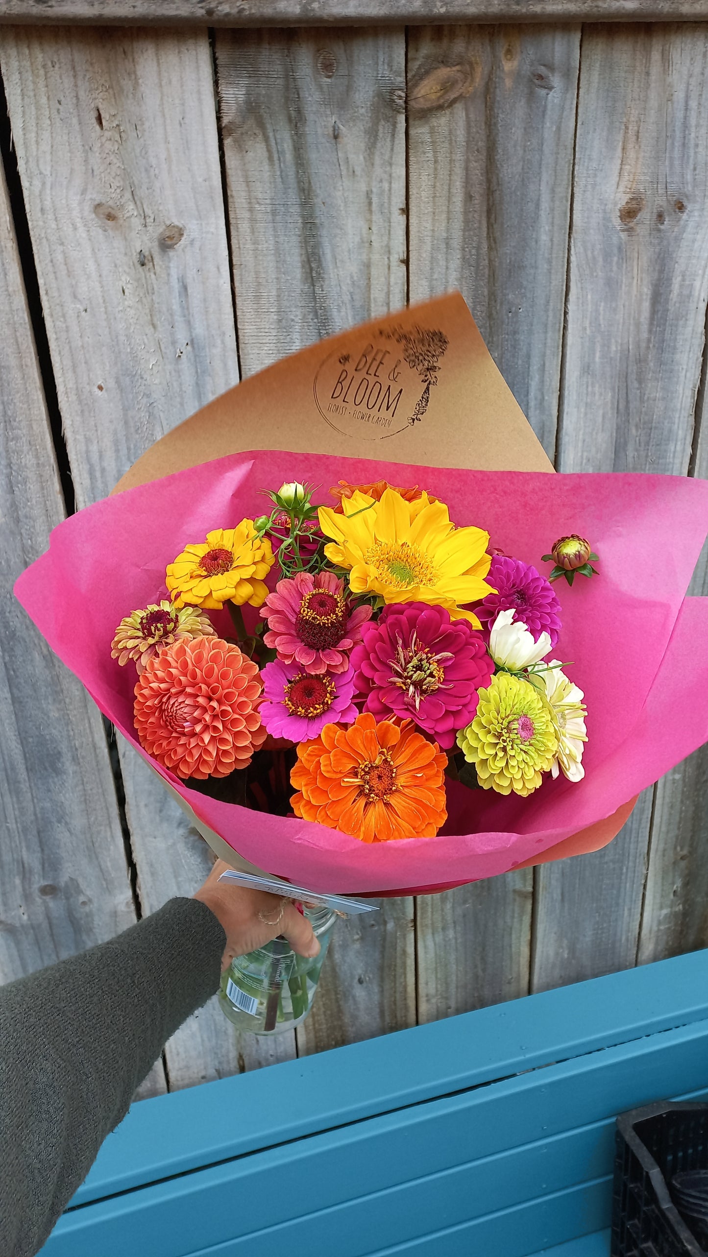 Sow & Grow Workshop - Summer Annuals