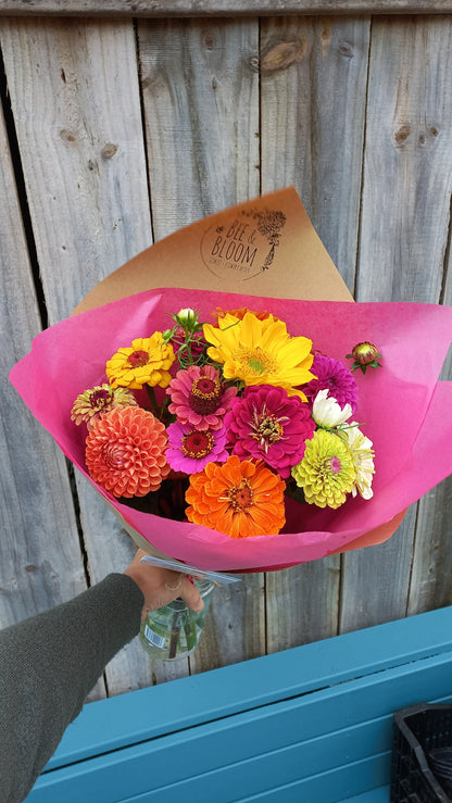 Sow & Grow Workshop - Summer Annuals