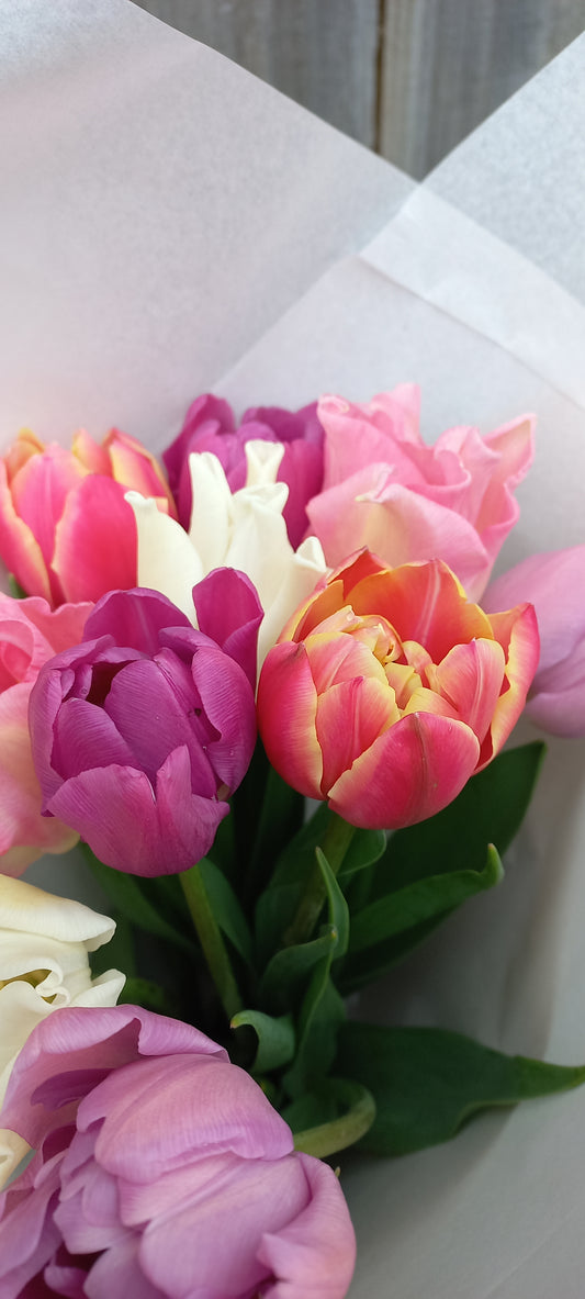 Spring Tulip Bunch