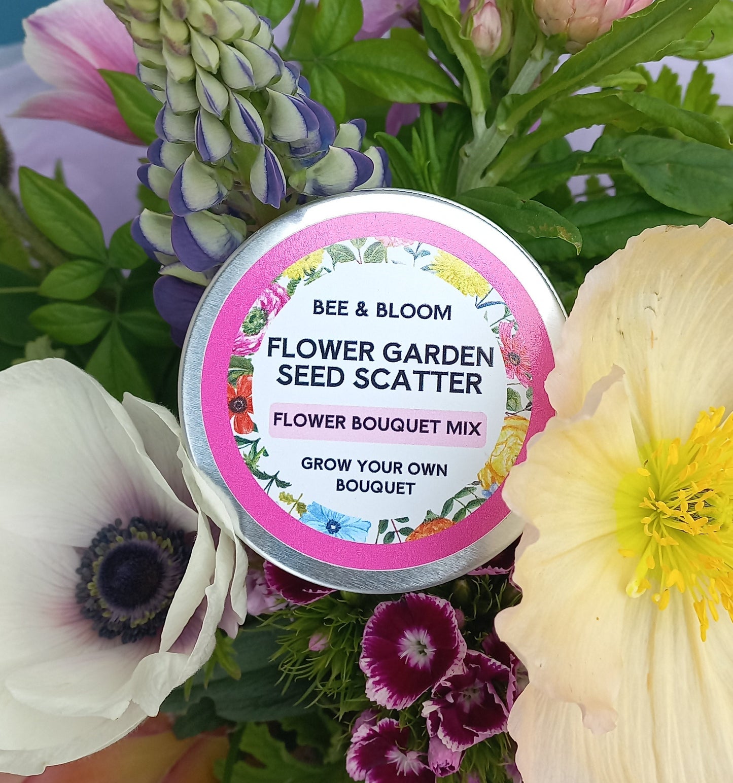 Sow & Grow Autumn Workshop