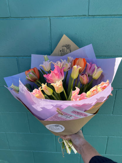 Fresh Kapiti-Grown Tulips
